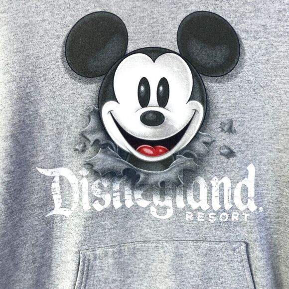 Disneyland Resort Hoodie Small Mickey Mouse Pullover Sweatshirt Two Side Disney - Picture 3 of 10